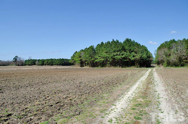 1030 Warren Mill Road Newton Grove, NC 28366 - Photo 20 of 23 Gallery Image 20