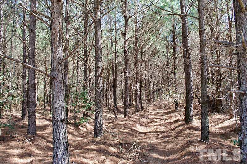 1030 Warren Mill Road Newton Grove, NC 28366 - Photo 22 of 23 Gallery Image 22