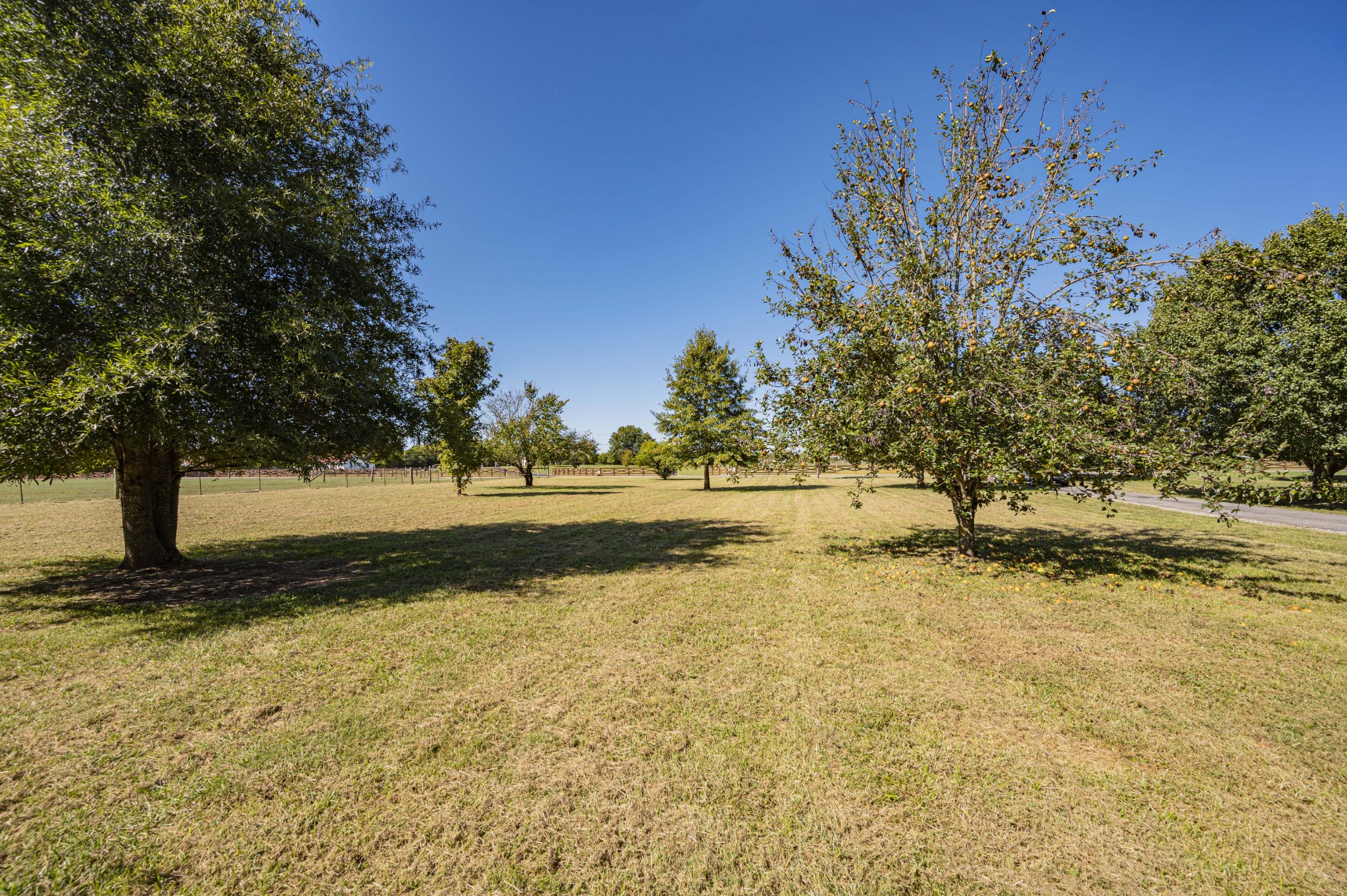 2420 Shoemaker Road Eagleville, TN 37060 - Photo 14 of 14 Gallery Image 14