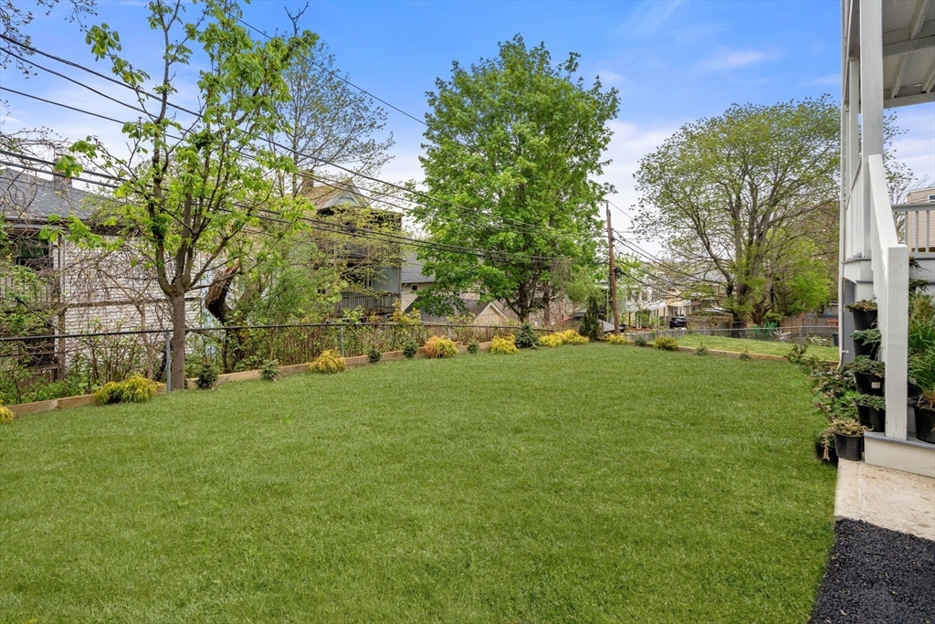 21-23 Westmore Road Boston, MA 02126 - Photo 18 of 42 a view of a park with large trees