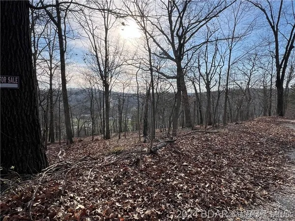 $19,000 | Undisclosed Address, Camdenton, MO 65020