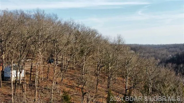 $19,000 | Undisclosed Address, Camdenton, MO 65020