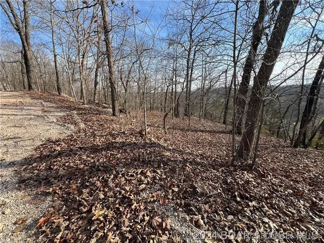 $19,000 | Undisclosed Address, Camdenton, MO 65020