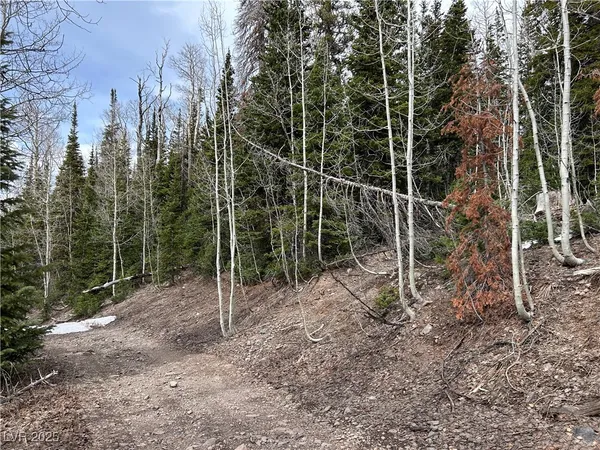 $82,875 | 380 North Frst Drive, Brian Head, UT 84719