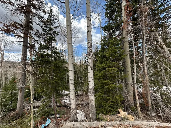 $82,875 | 380 North Frst Drive, Brian Head, UT 84719