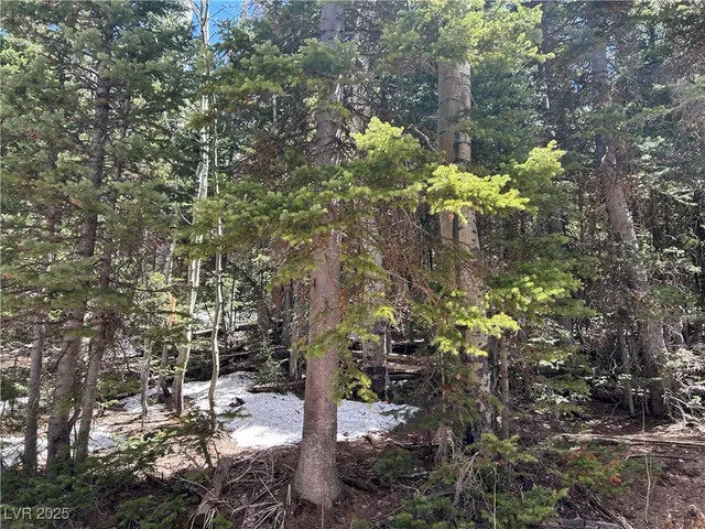 $89,000 | 380 North Frst Drive, Brian Head, UT 84719