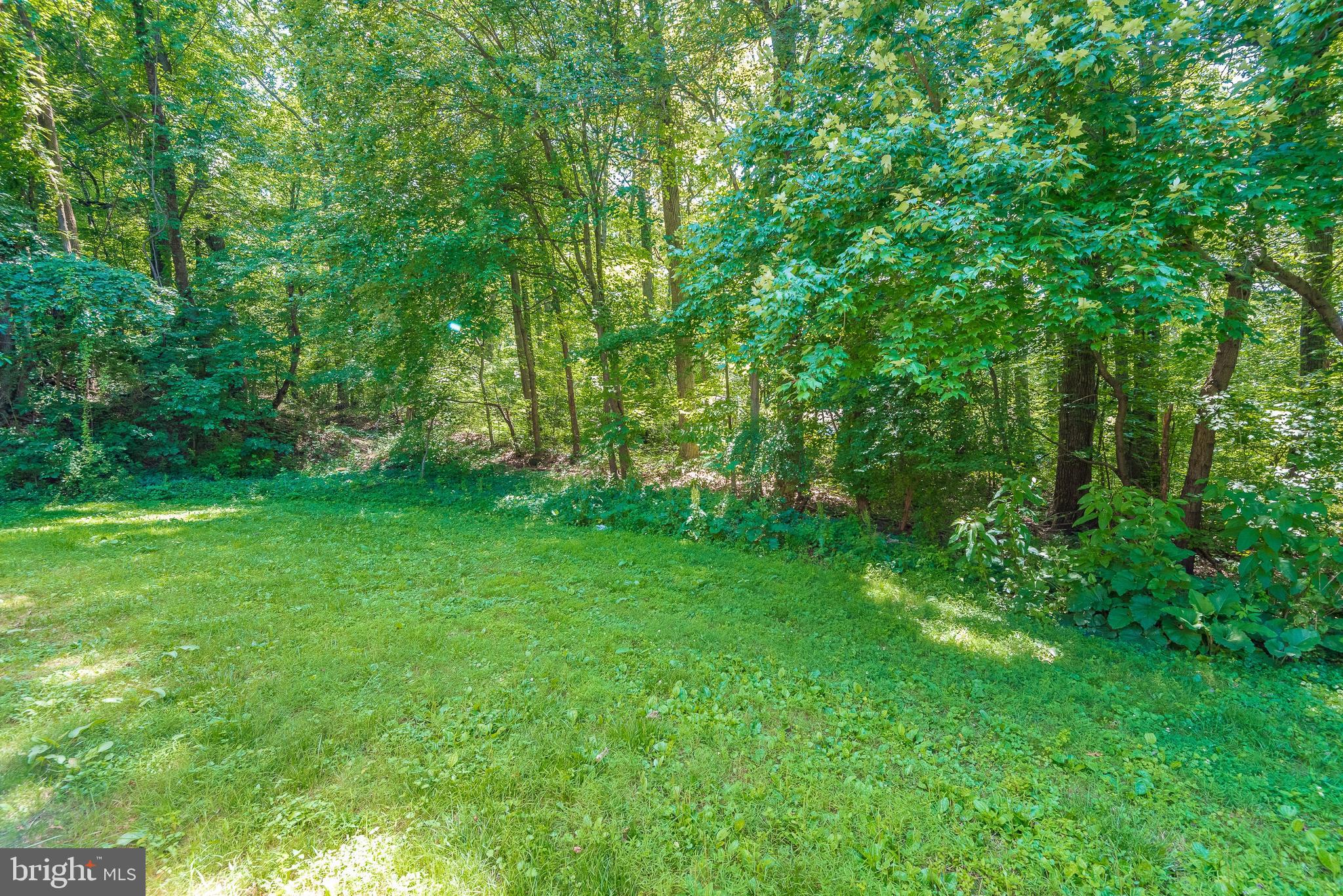 14419 Peddicord Road Mount Airy, MD 21771 - Photo 43 of 44 Yard