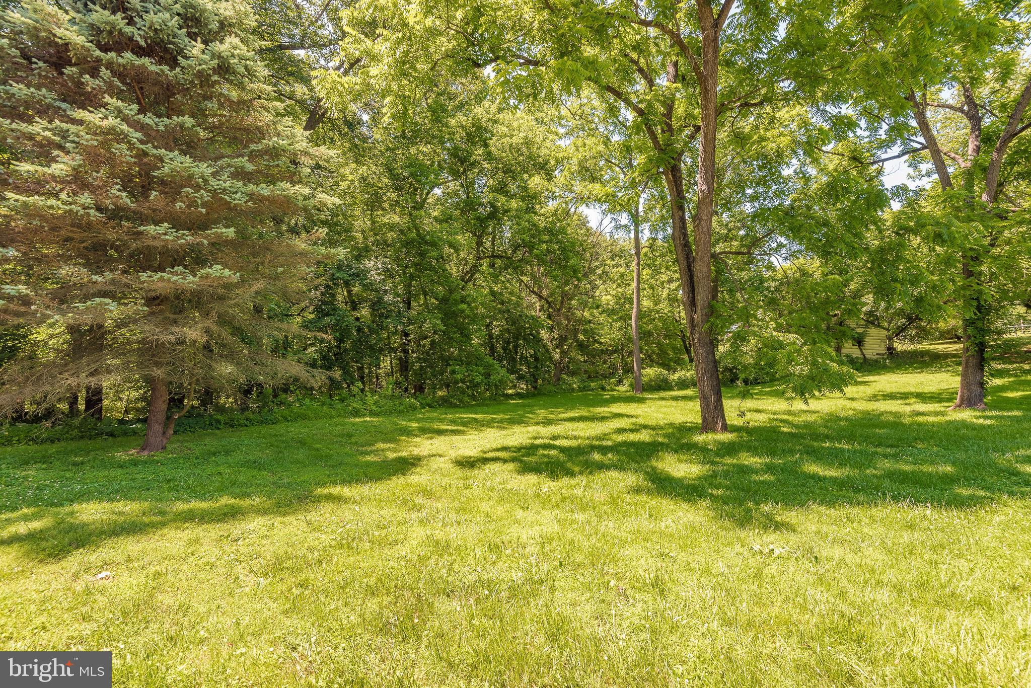 14419 Peddicord Road Mount Airy, MD 21771 - Photo 44 of 44 Yard