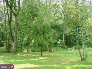 24 Park Road Ambler, PA 19002 - Photo 5 of 6 Gallery Image 5