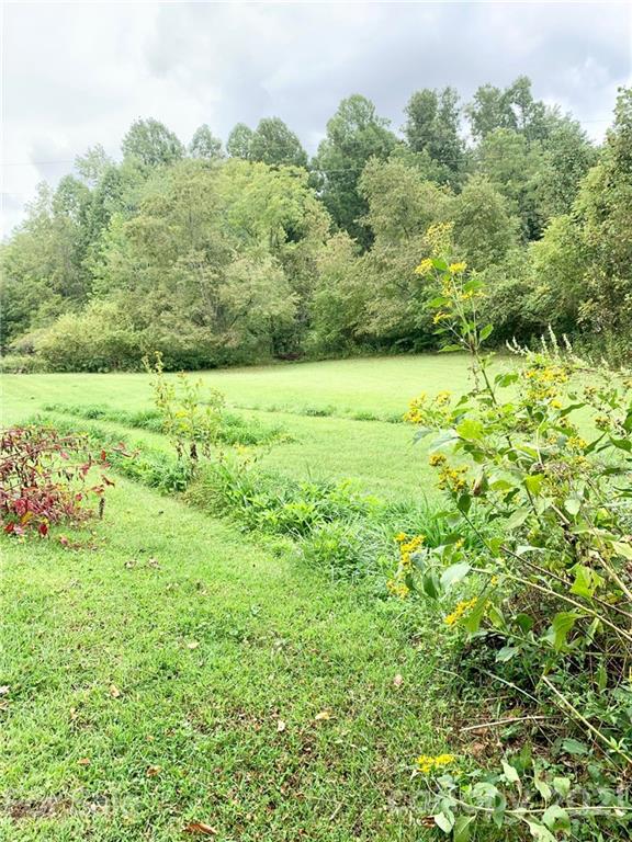 379 South Goforth Road Ferguson, NC 28624 - Photo 3 of 16 a view of a field with plants and large trees