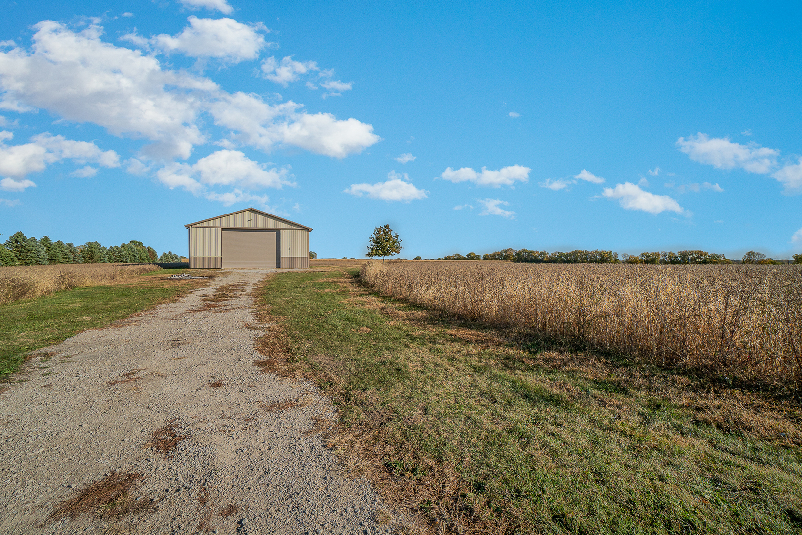 248 East County Line Road Beecher, IL 60401 - Photo 12 of 14