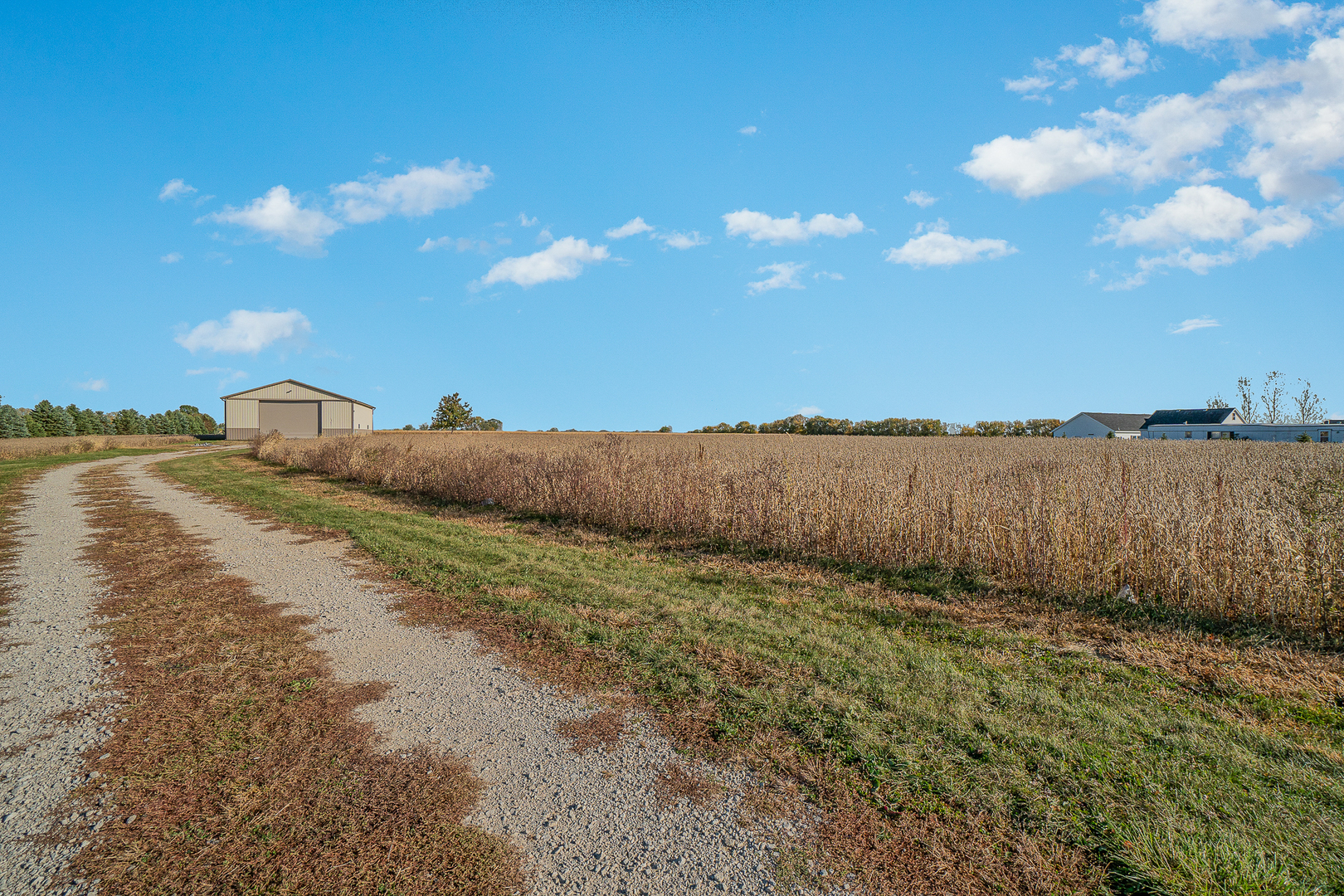 248 East County Line Road Beecher, IL 60401 - Photo 13 of 14