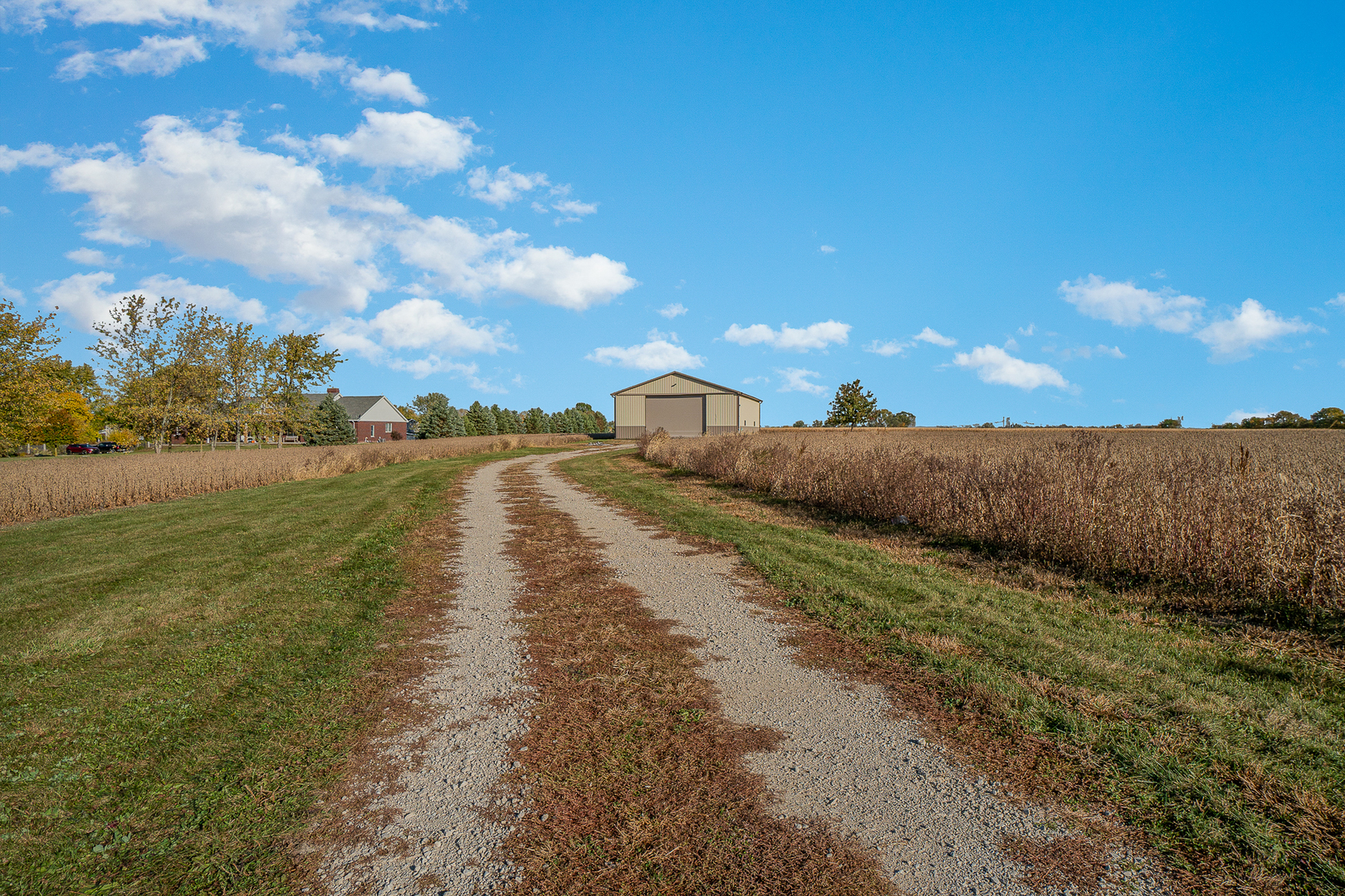248 East County Line Road Beecher, IL 60401 - Photo 14 of 14