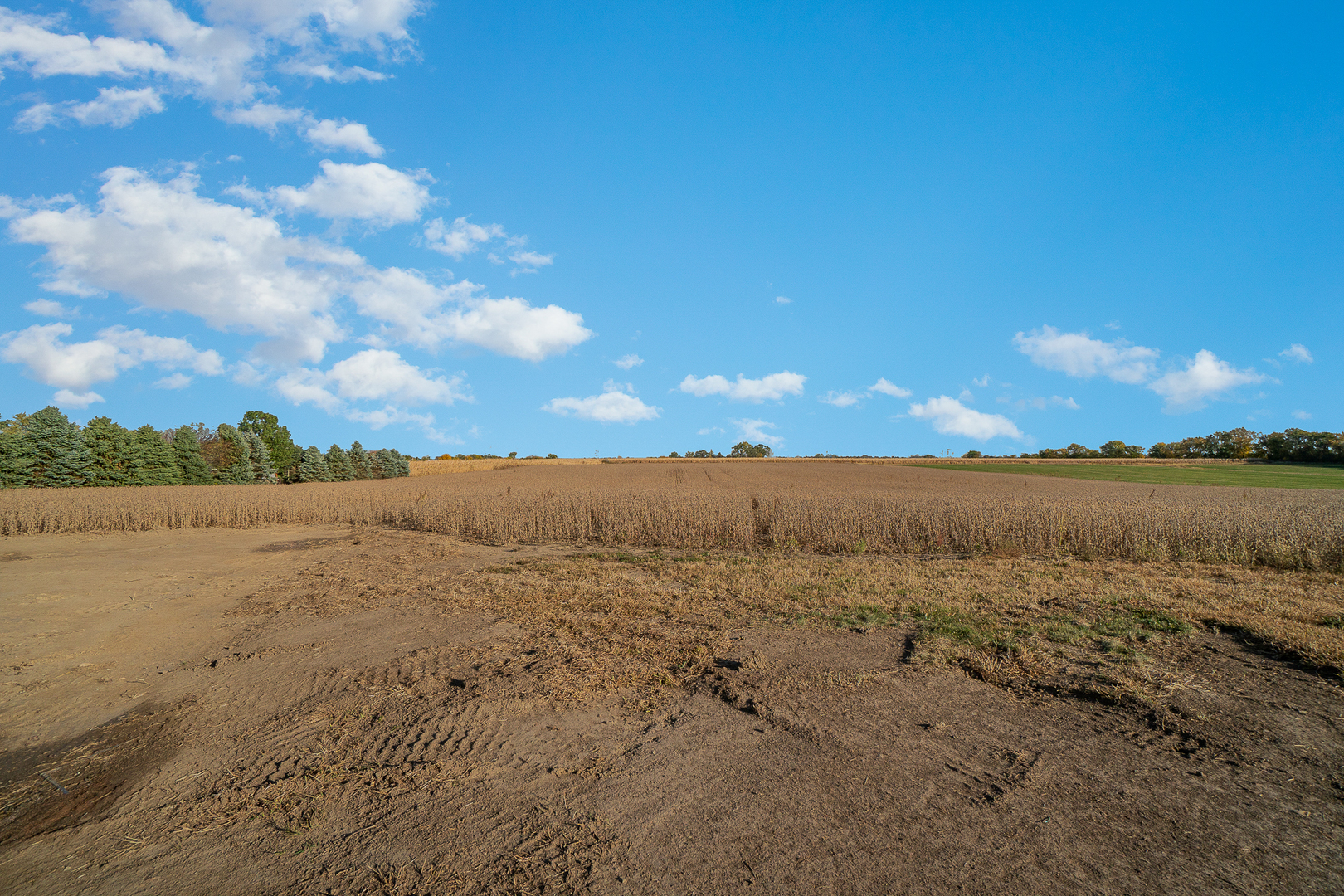 248 East County Line Road Beecher, IL 60401 - Photo 5 of 14
