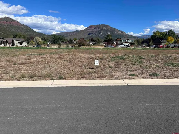 a view of a big yard with a large tree