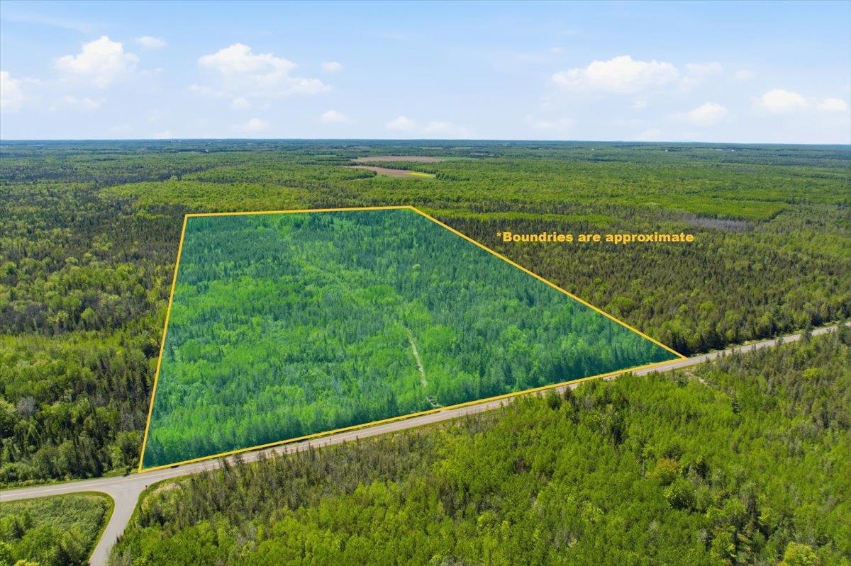 0 County Highway J Deerbrook, WI 54424 - Photo 1 of 78