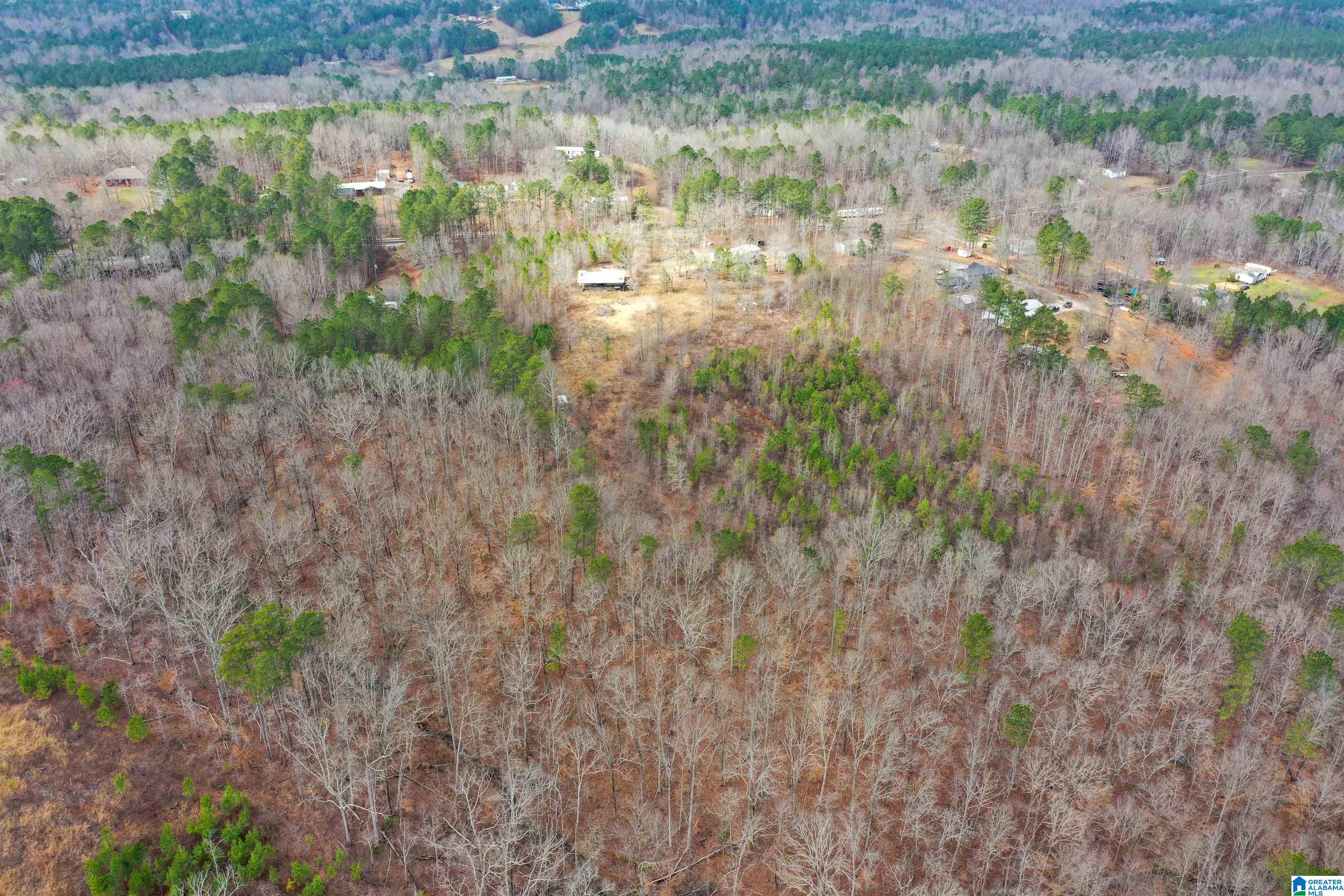 2226 Chula Vista Mtn Road Pell City, AL 35125 - Photo 38 of 47