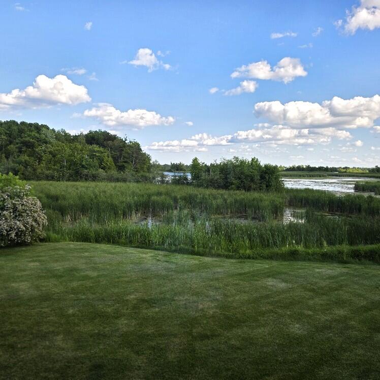 176 Long Rapids Road Alpena, MI 49707 - Photo 34 of 38 View of River