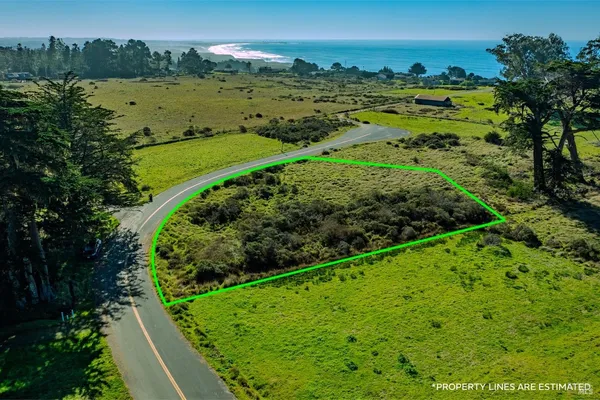 a view of a garden with an ocean