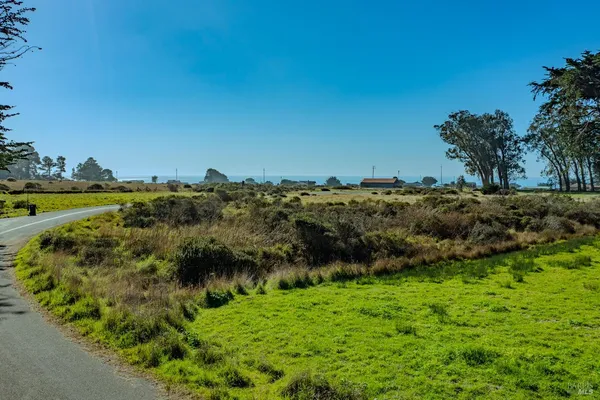 a view of a field with trees and grass