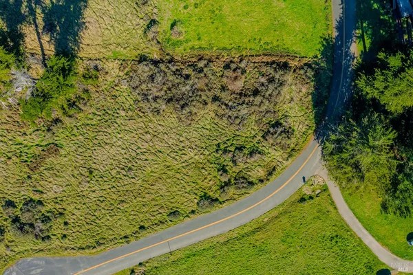 a view of a garden from a window