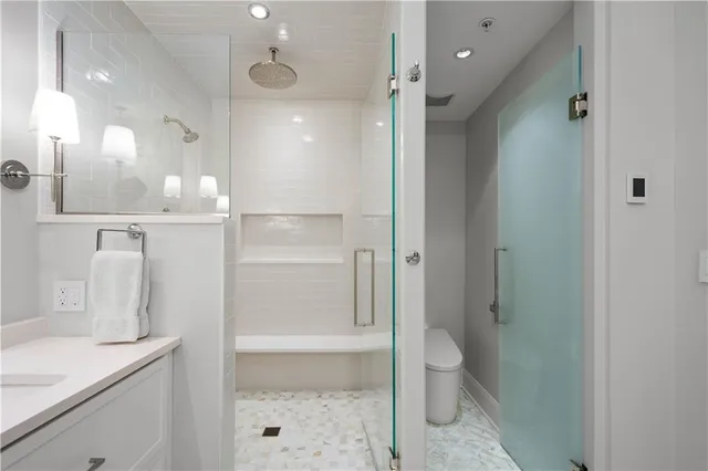 a bathroom with a shower and toilet