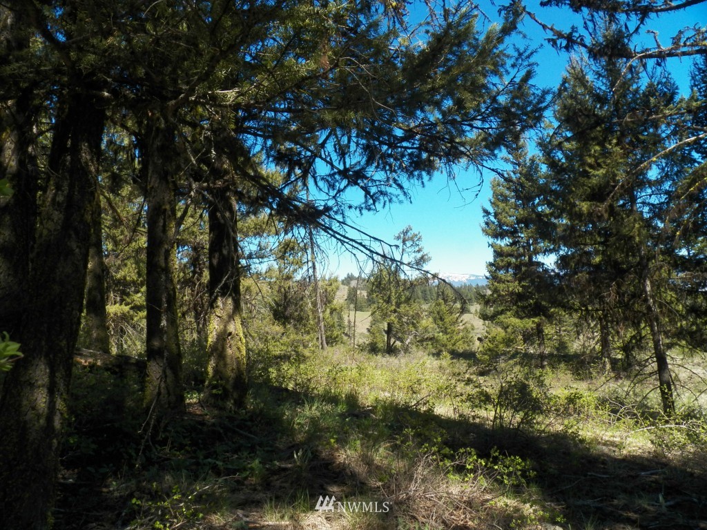 174 Wellman Road Republic, WA 99166 - Photo 2 of 15