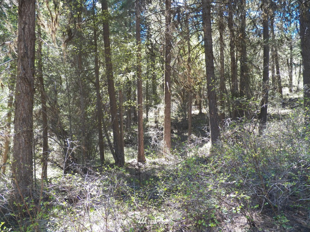 174 Wellman Road Republic, WA 99166 - Photo 13 of 15
