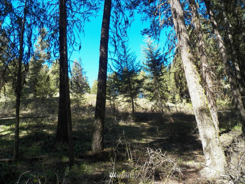 174 Wellman Road Republic, WA 99166 - Photo 14 of 15