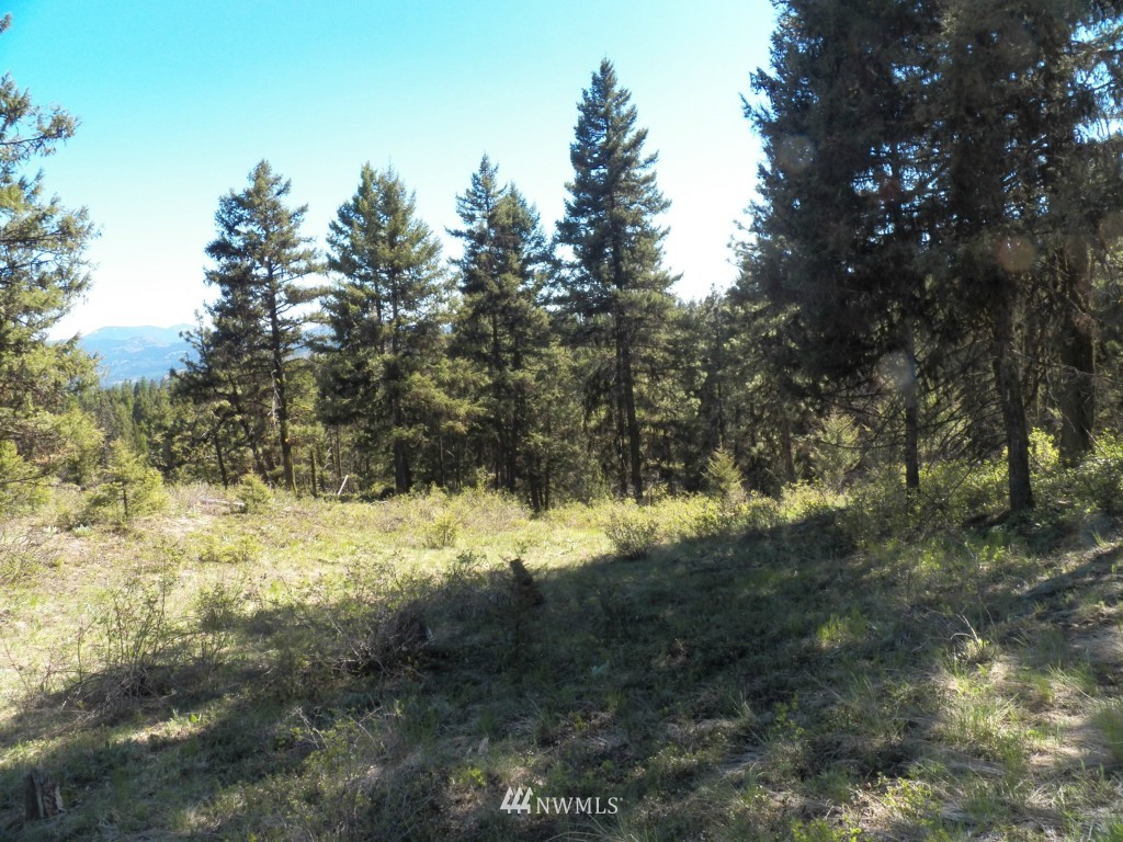 174 Wellman Road Republic, WA 99166 - Photo 4 of 15