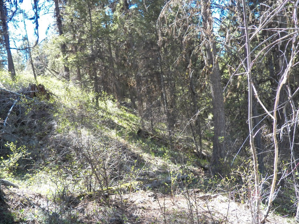 174 Wellman Road Republic, WA 99166 - Photo 5 of 15