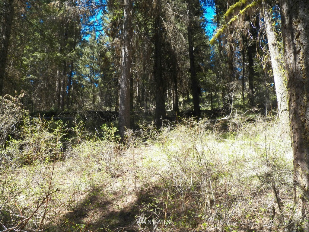 174 Wellman Road Republic, WA 99166 - Photo 9 of 15