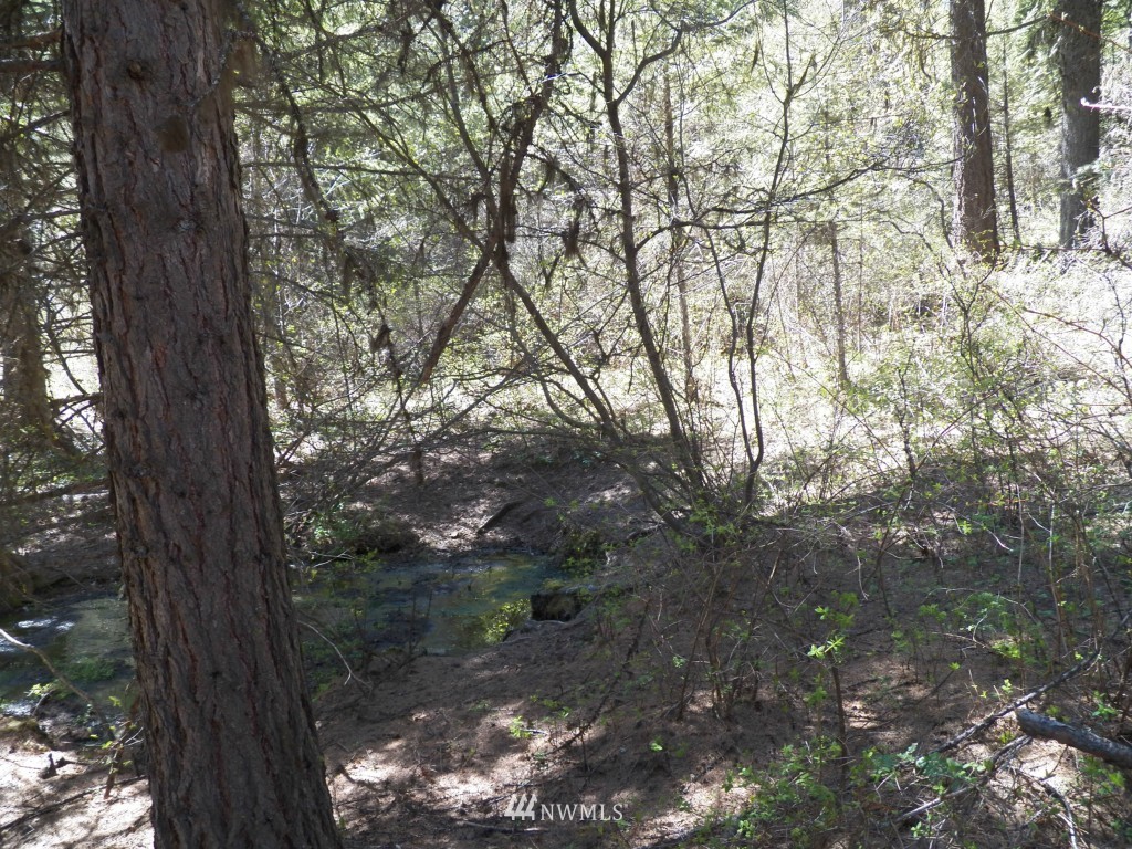 174 Wellman Road Republic, WA 99166 - Photo 10 of 15