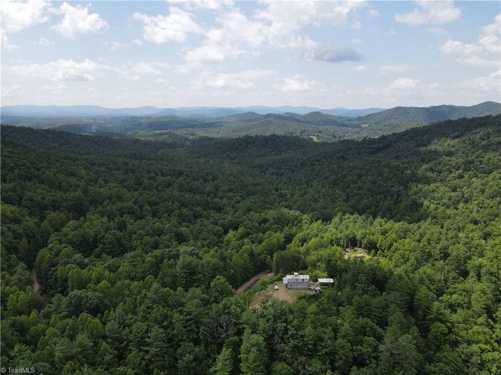 2668 Reedy Branch Road Purlear, NC 28665 - Photo 1 of 45
