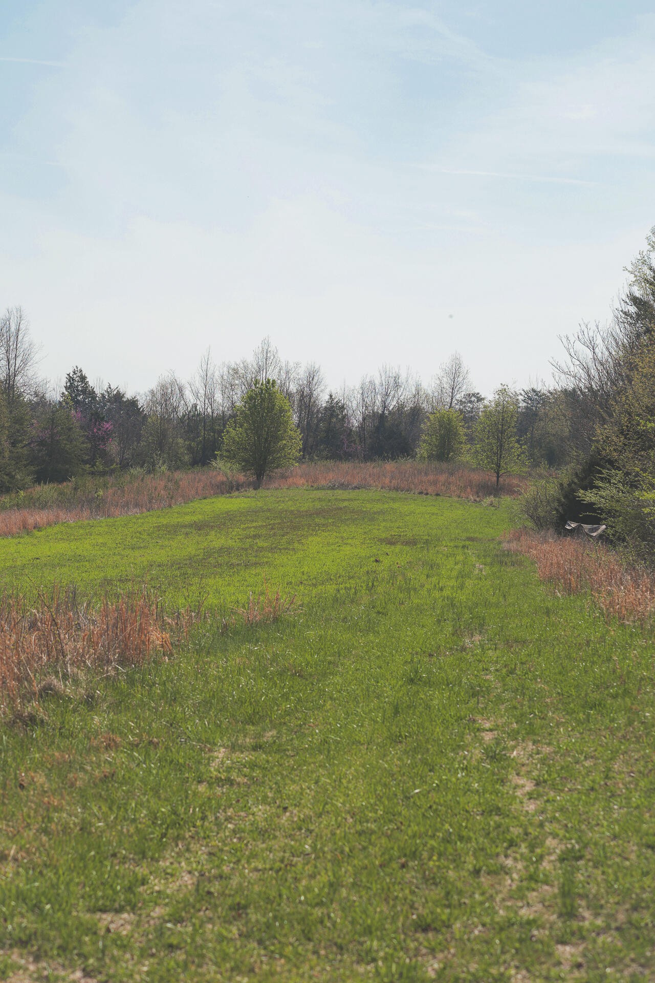 527 Dyer Hollow Road Dayton, TN 37321 - Photo 10 of 61 Gallery Image 10