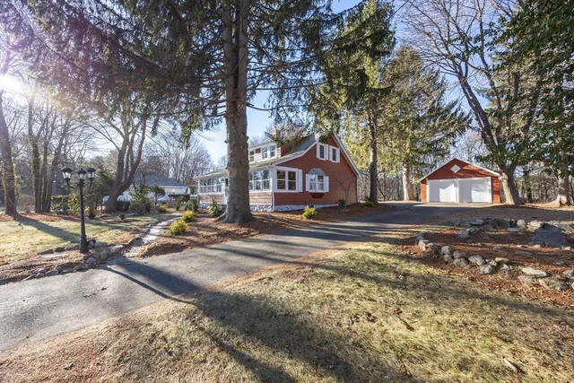 a view of street with large trees