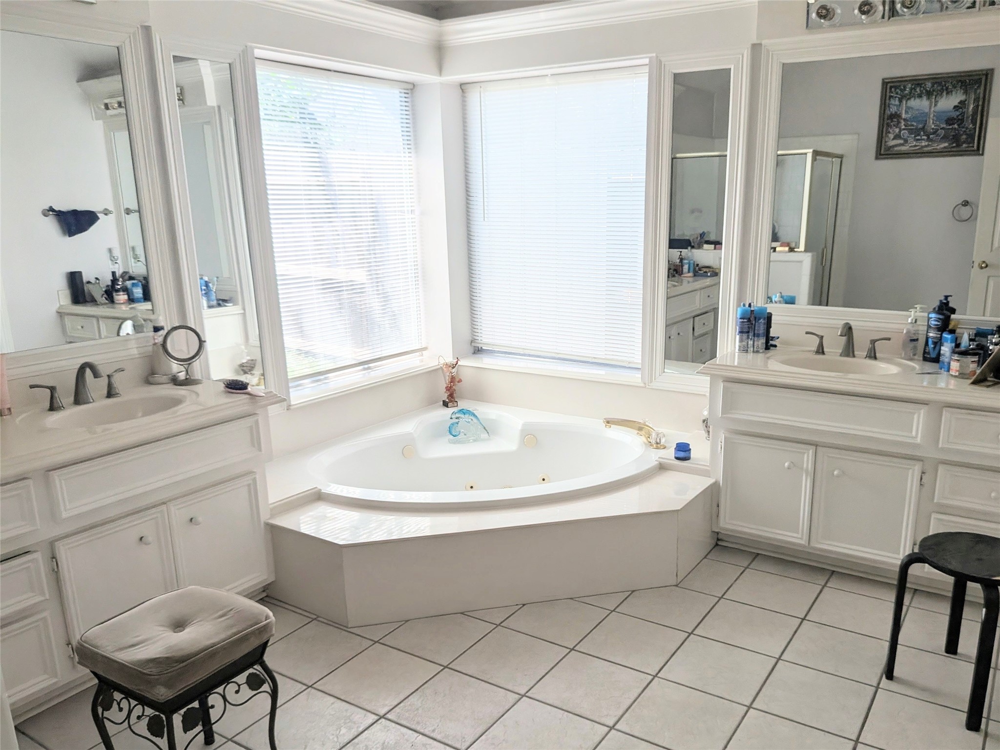 13107 Walnut Lake Road Houston, TX 77065 - Photo 21 of 23 a spacious bathroom with a sink and a mirror