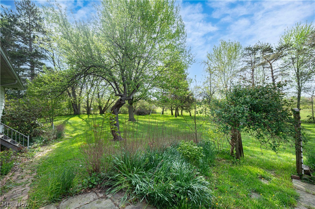 12310 Huntoon Road Painesville, OH 44077 - Photo 39 of 48 Backyard view
