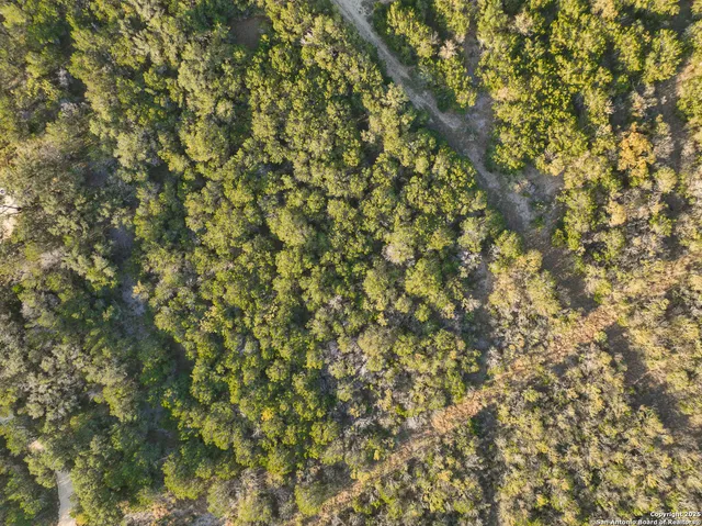 a view of a hardwood floor