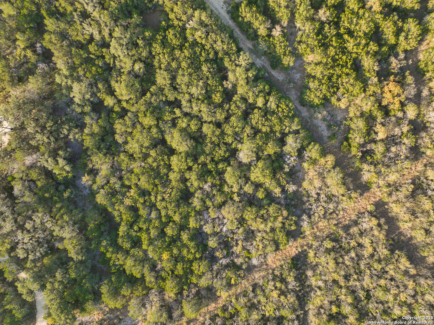 Lot 179 Valley Oaks Ranch Hondo, TX 78861 - Photo 14 of 28 a view of a tree