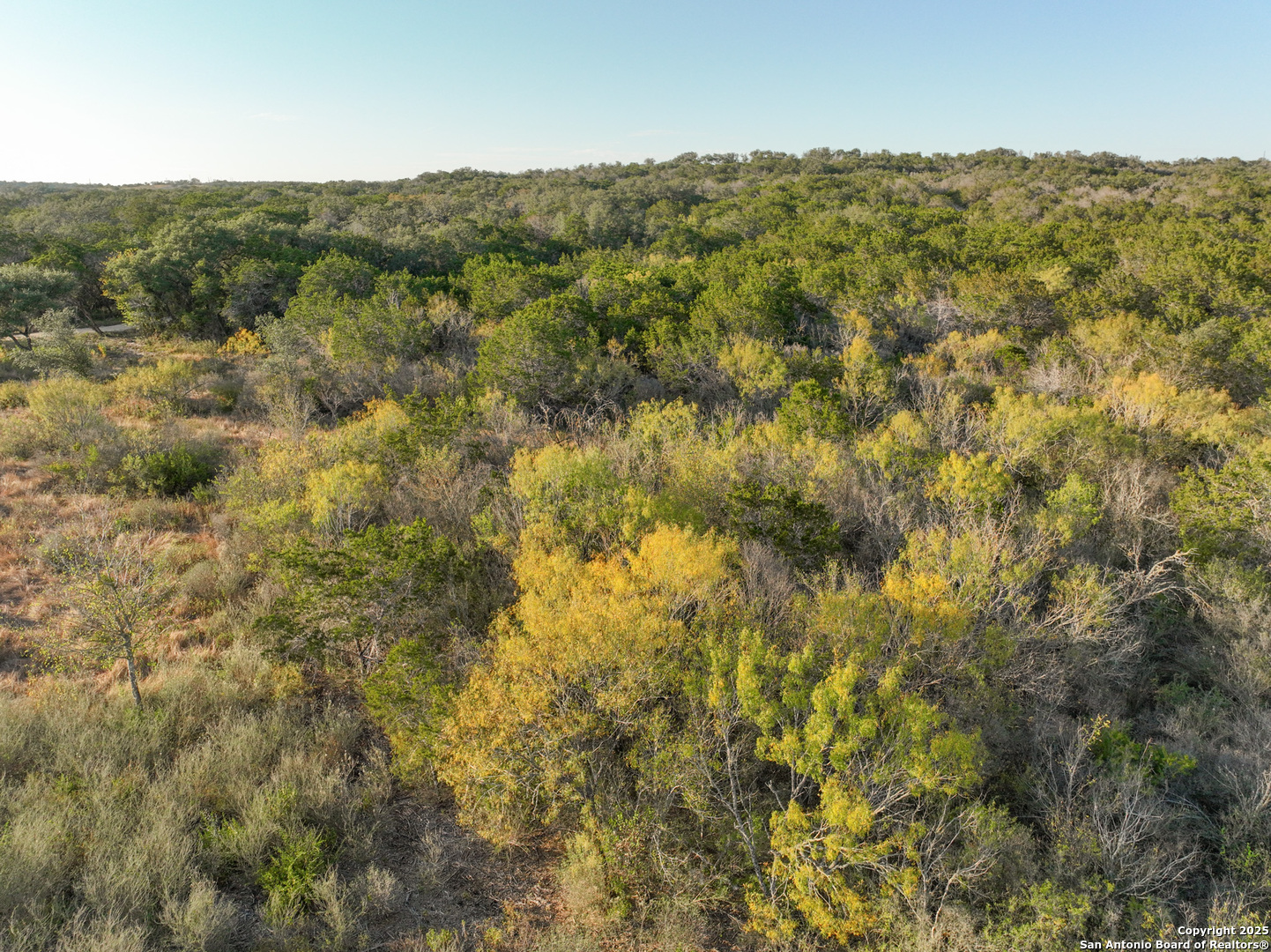 Lot 179 Valley Oaks Ranch Hondo, TX 78861 - Photo 21 of 28 a view of a field with trees in the background