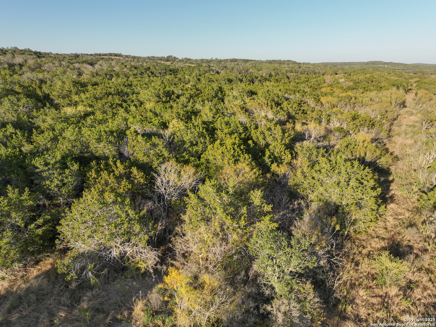 Lot 179 Valley Oaks Ranch Hondo, TX 78861 - Photo 22 of 28 a view of an ocean