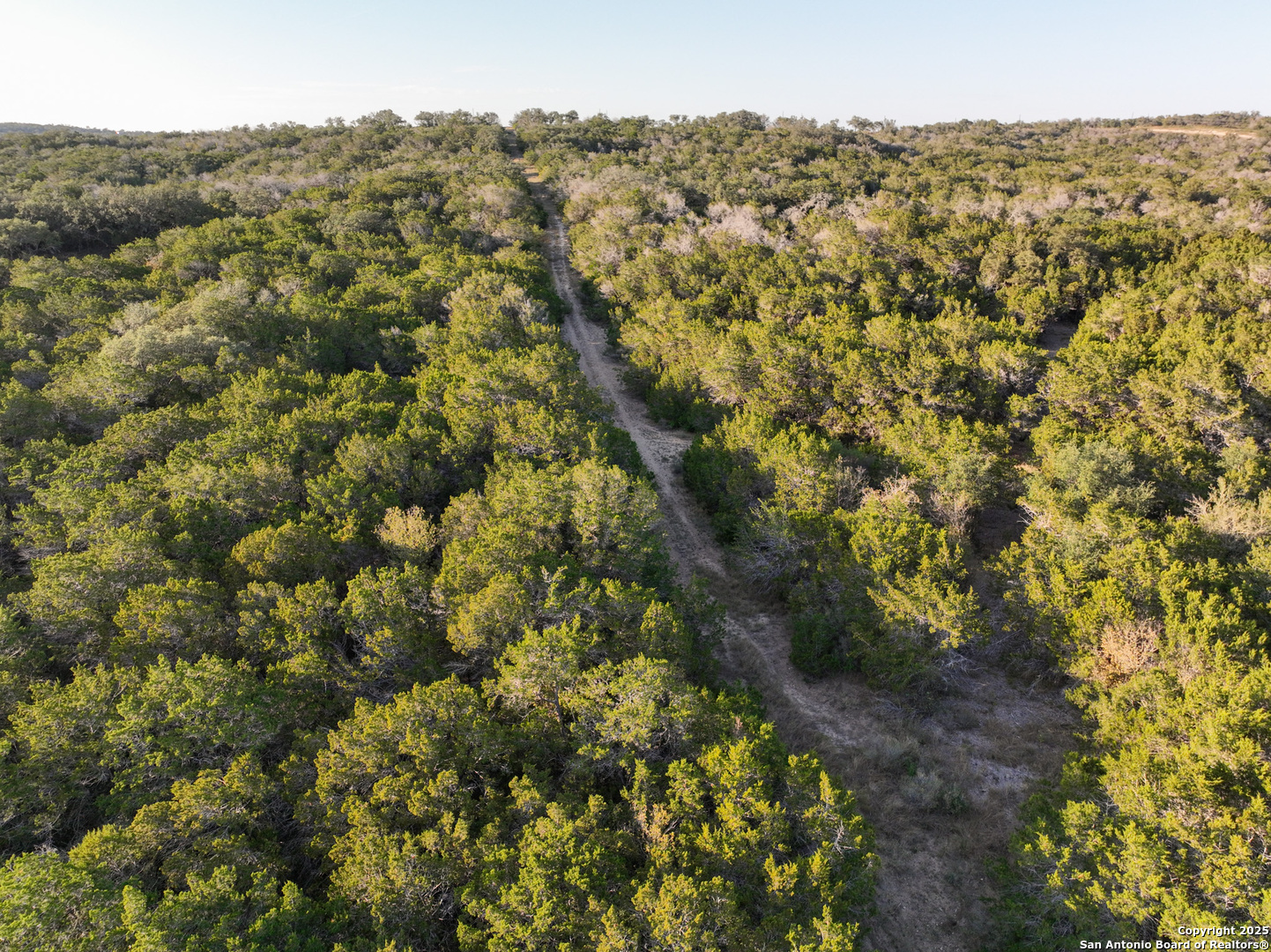 Lot 179 Valley Oaks Ranch Hondo, TX 78861 - Photo 23 of 28 a view of a yard