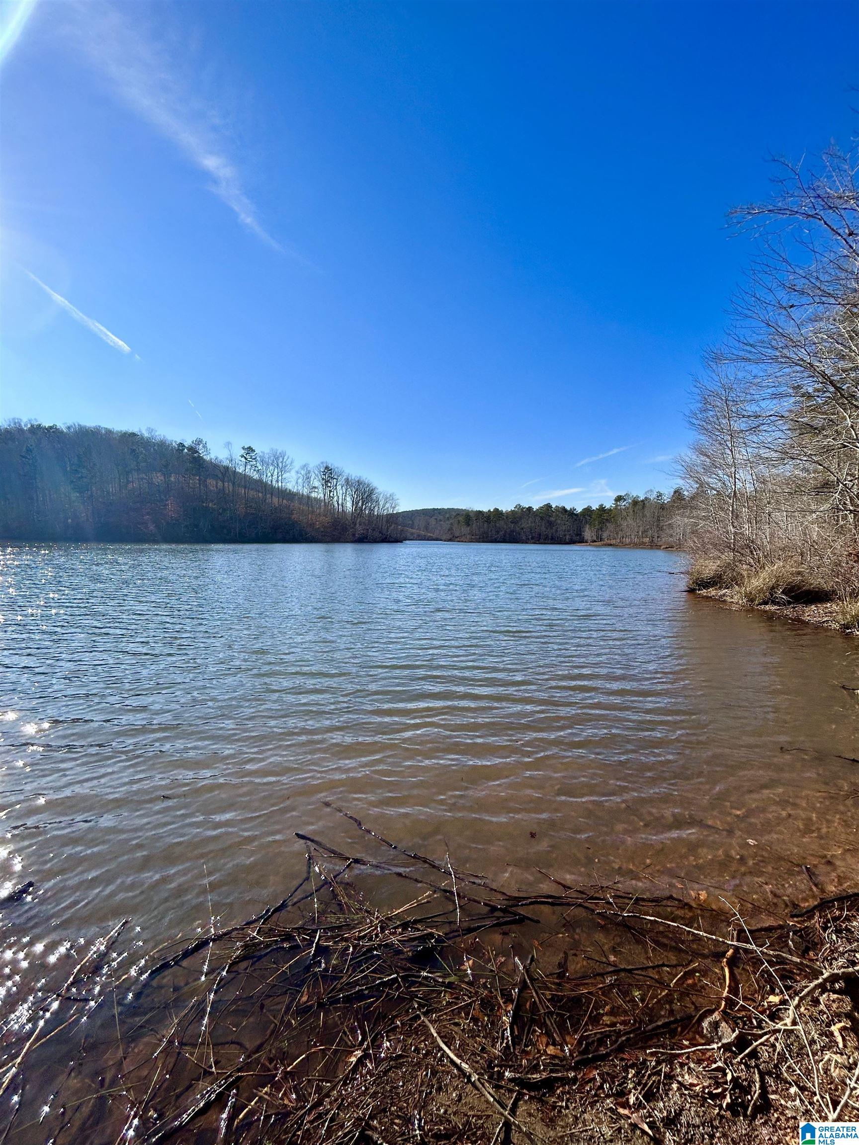 0 Olive Branch Road, Unit 25 Ashland, AL 36251 - Photo 4 of 15