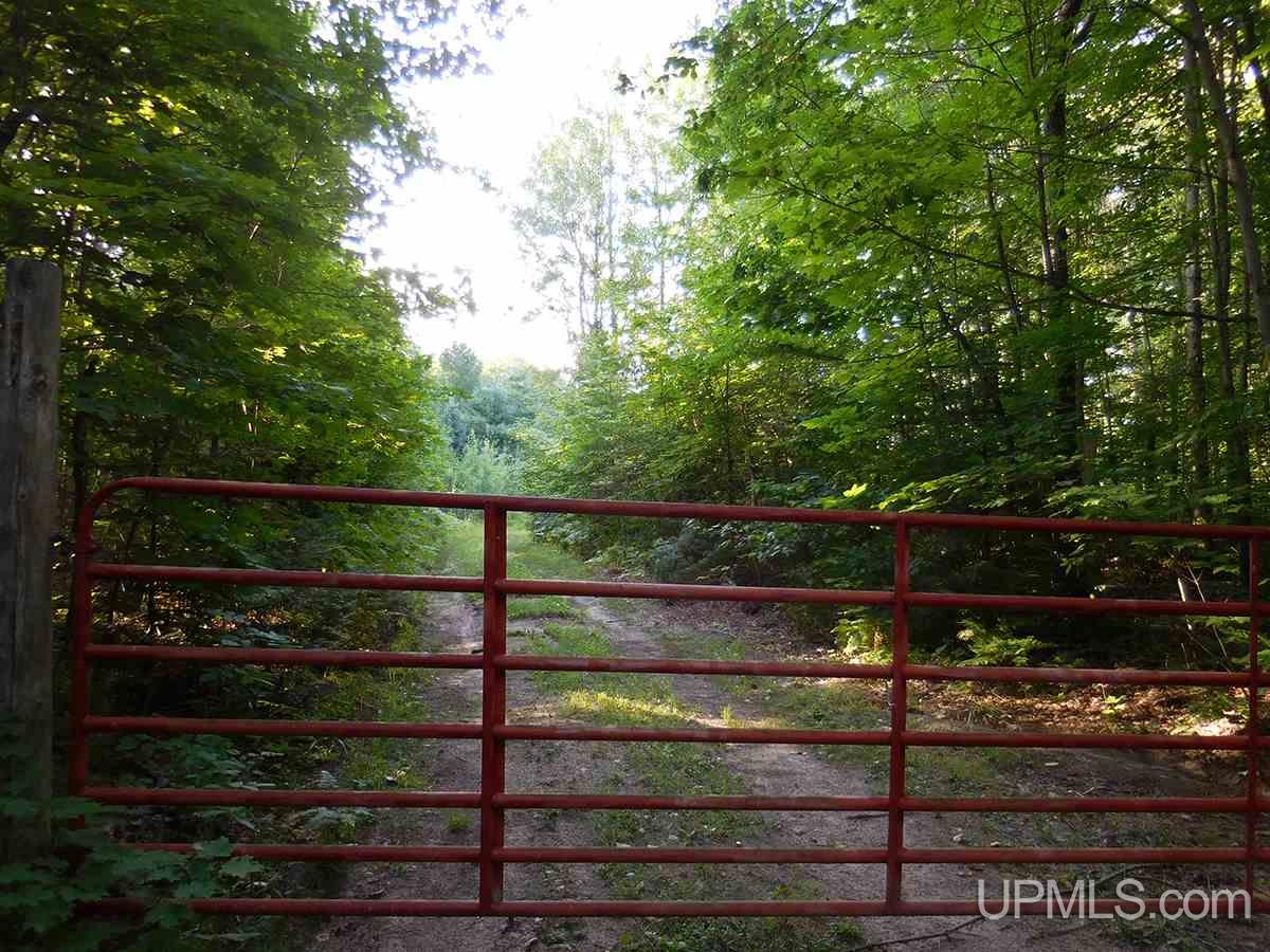 Tbd Tee Lake Road Germfask, MI 49836 - Photo 16 of 25
