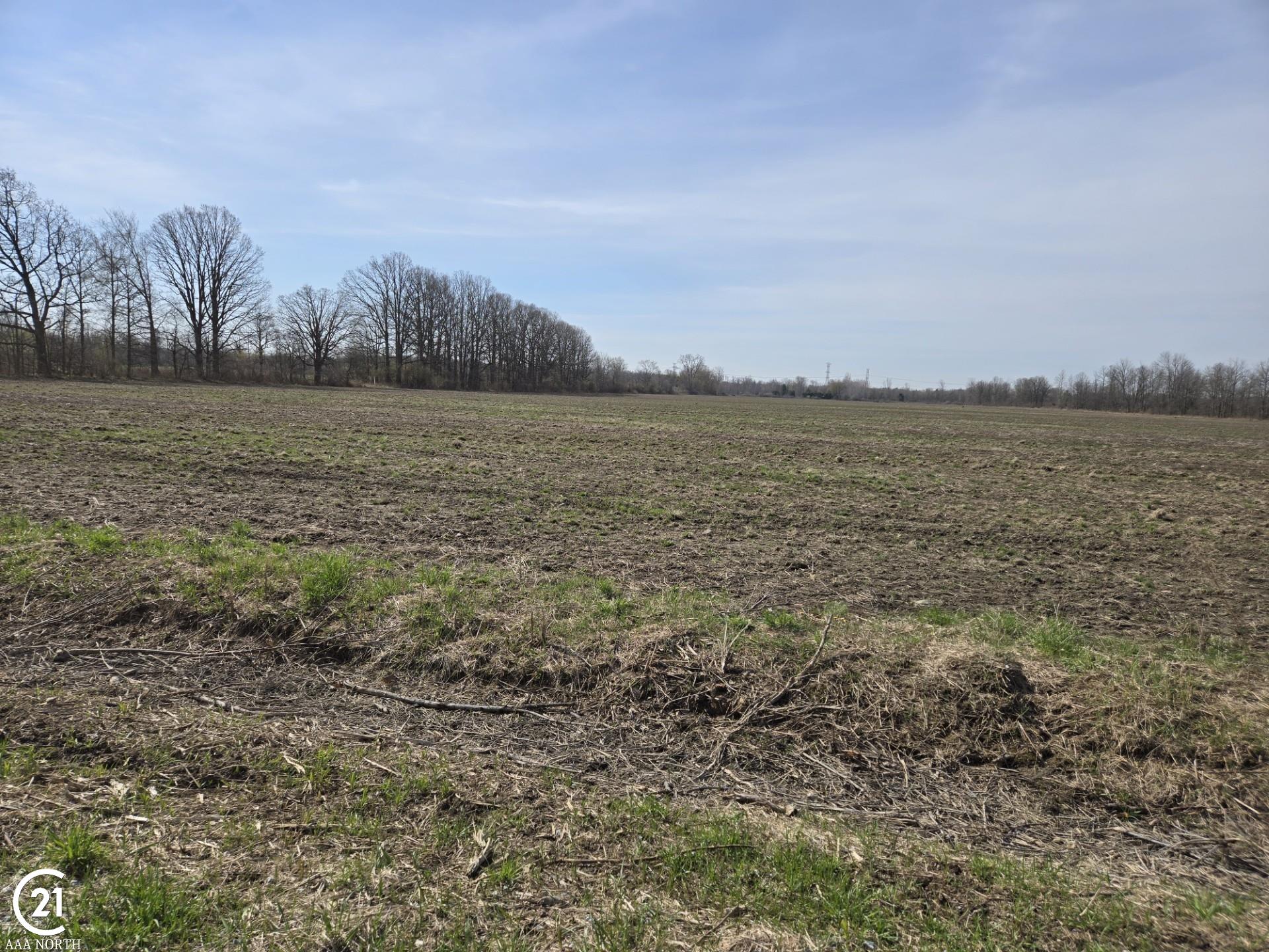 0 Meskill (lot D) Road Columbus, MI 48063 - Photo 4 of 15