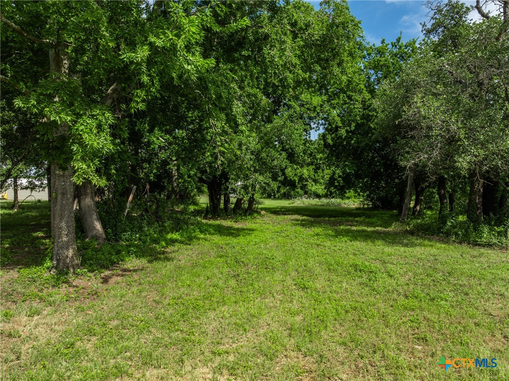 199 Apache Springs Road Briggs, TX 78608 - Photo 29 of 48