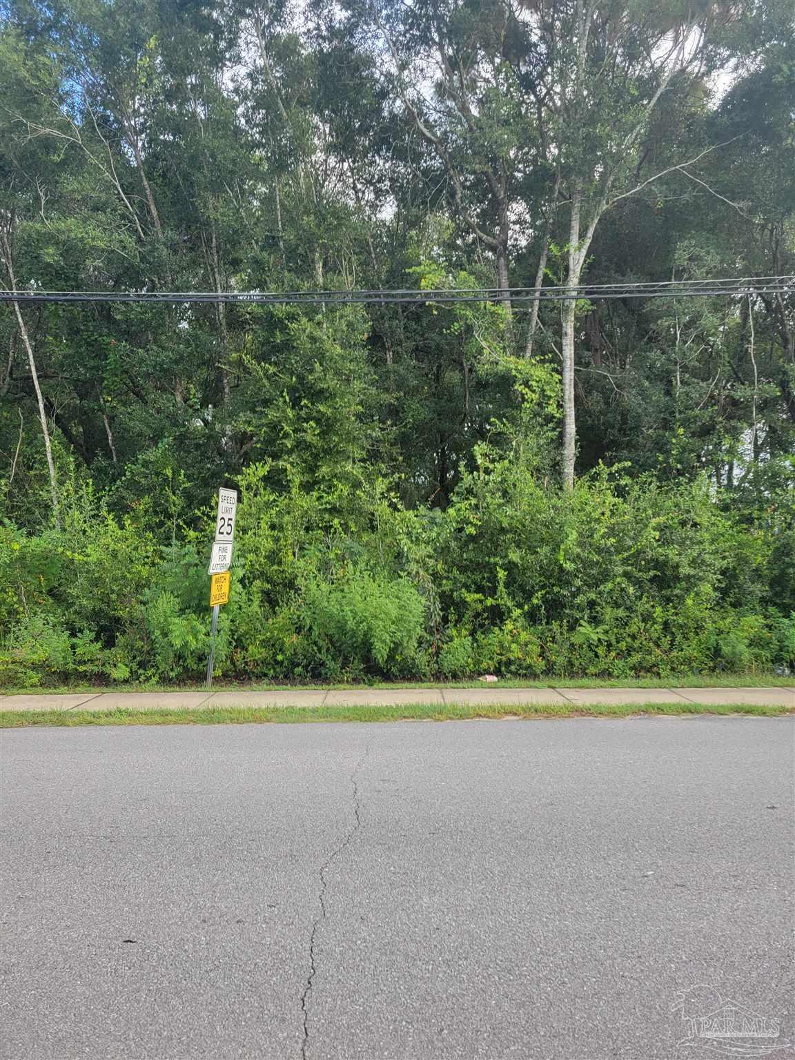 0 Rosasco Street Milton, FL 32570 - Photo 4 of 5 a view of a garden and basketball court
