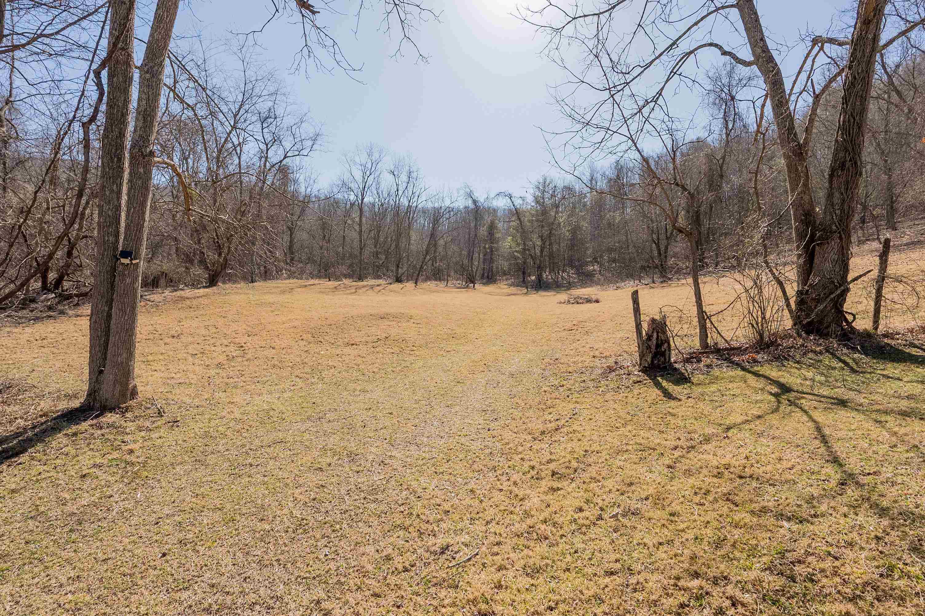 2161 Loafers Rest Road Austinville, VA 24312 - Photo 56 of 94 Gallery Image 56