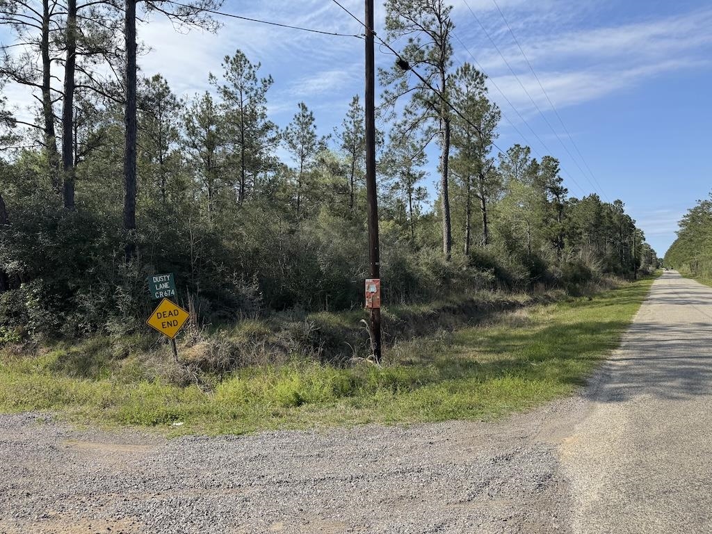 Five 5 Acre Tract Road Buna, TX 77612 - Photo 3 of 13